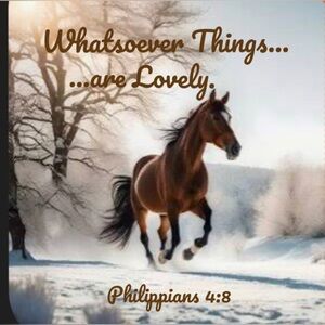 Hi! I'm Anne. Thanks for stopping by.